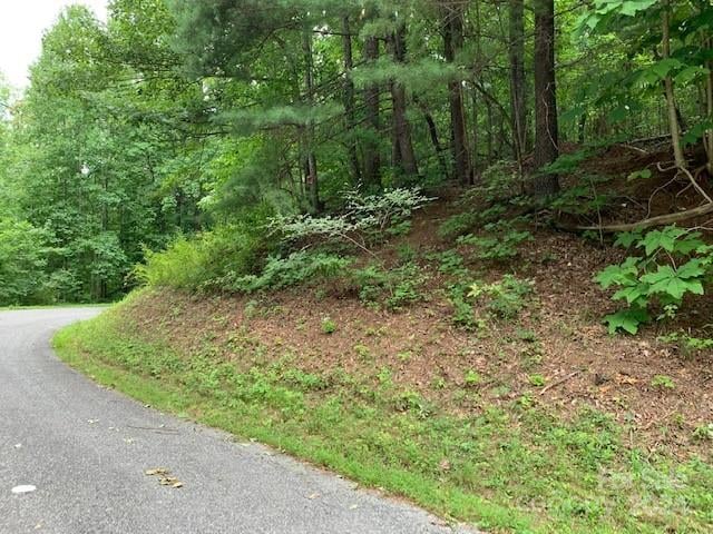 Lot 49-50 Mckenzie Way, Old Fort, NC 28762