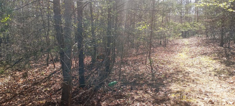 Lot 5 Lane St #5, Morganton, NC 28655
