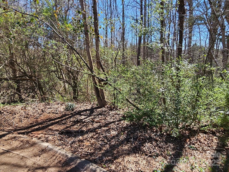 Gray Ct #56 & 55, Rutherfordton, NC 28139