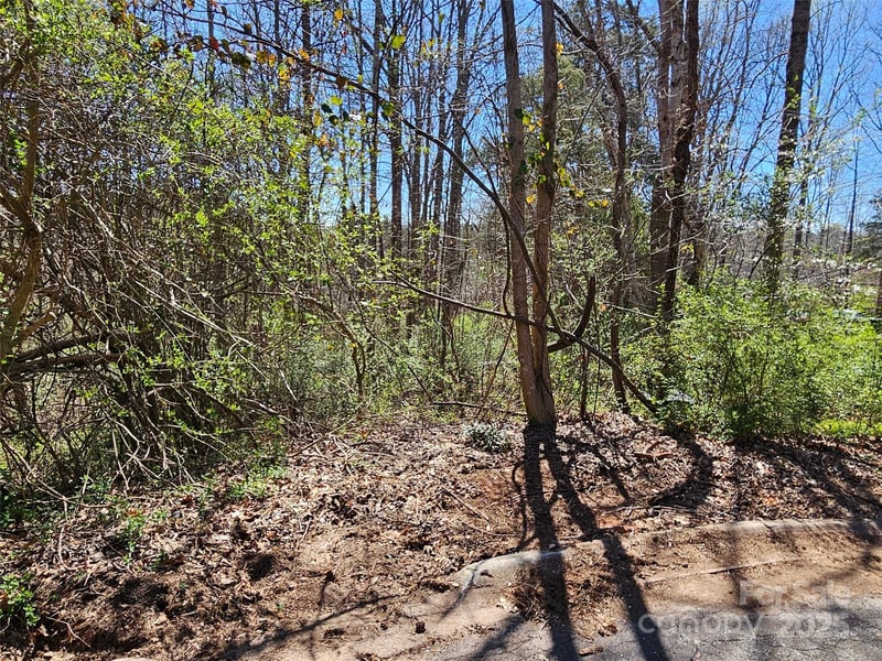 Gray Ct #56 & 55, Rutherfordton, NC 28139
