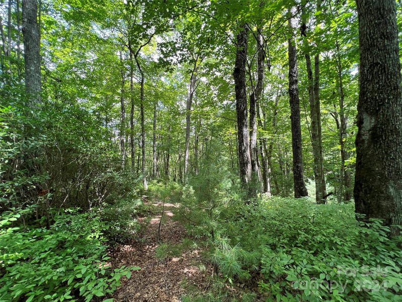 0000 Courtney Ct, Brevard, NC 28712