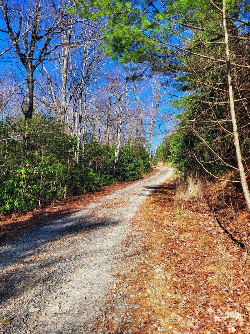 Lot D2 000 Dogwood Ln, Penrose, NC 28766