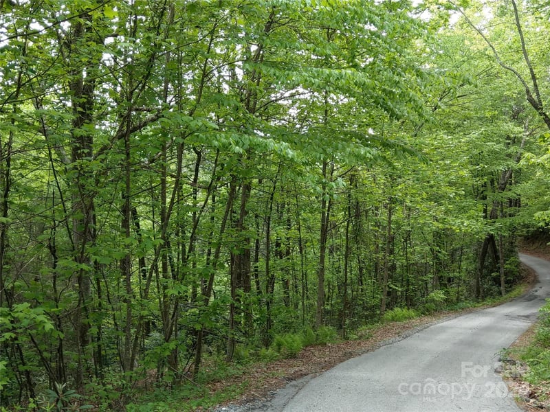 Lot D2 000 Dogwood Ln, Penrose, NC 28766