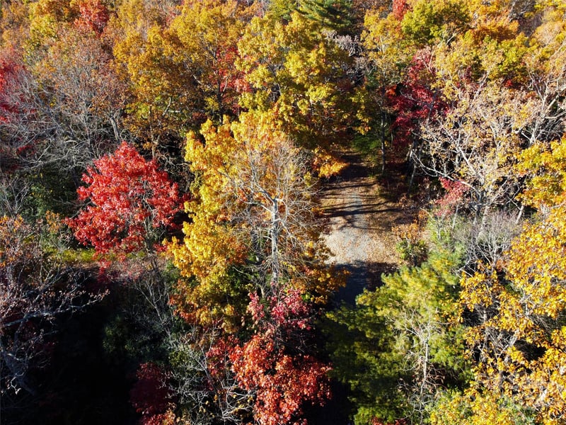 Lot D2 000 Dogwood Ln, Penrose, NC 28766