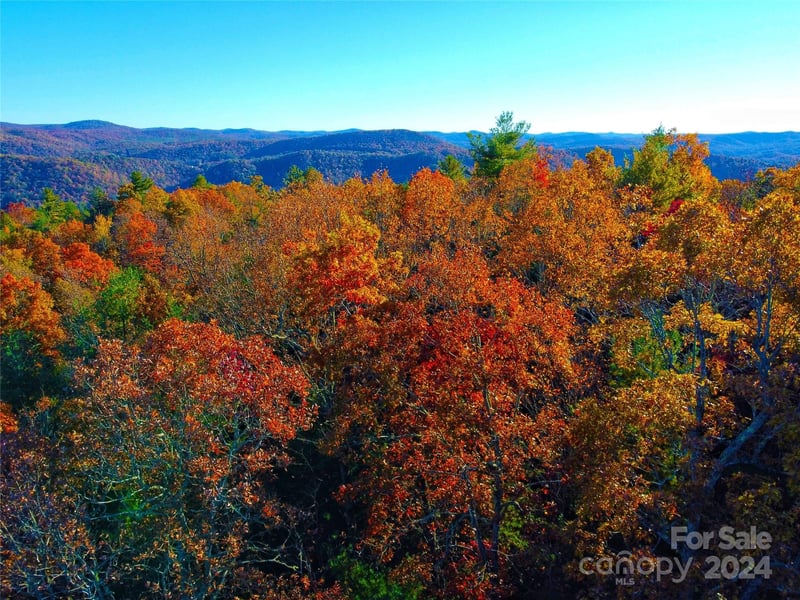 Lot D2 000 Dogwood Ln, Penrose, NC 28766
