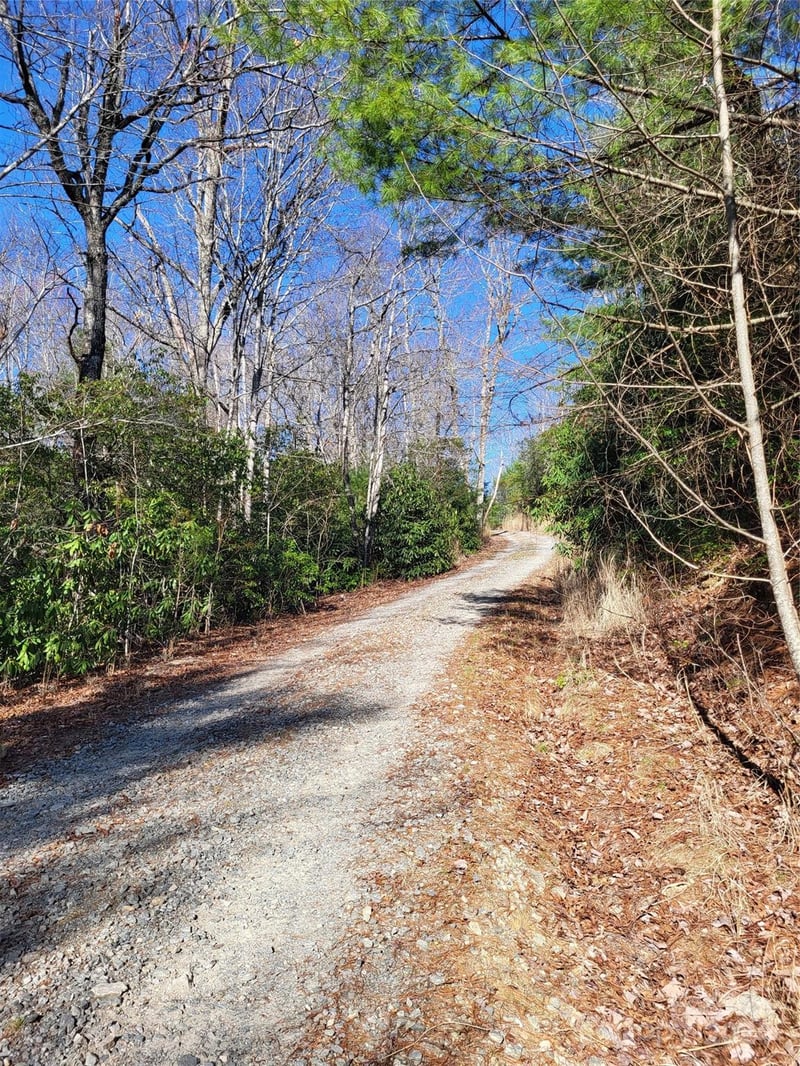 Lot D1 000 Dogwood Ln, Penrose, NC 28766