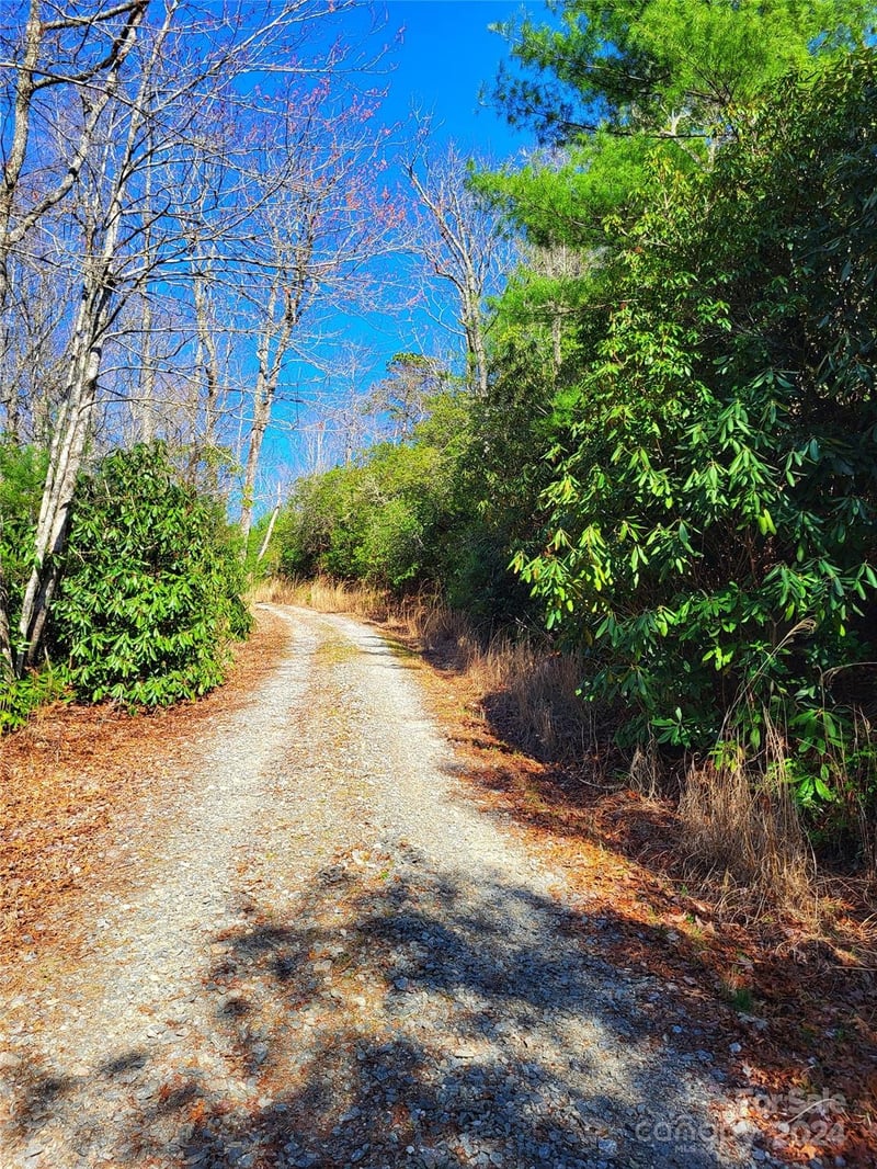 Lot D1 000 Dogwood Ln, Penrose, NC 28766