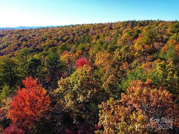 Lot D1 000 Dogwood Ln, Penrose, NC 28766