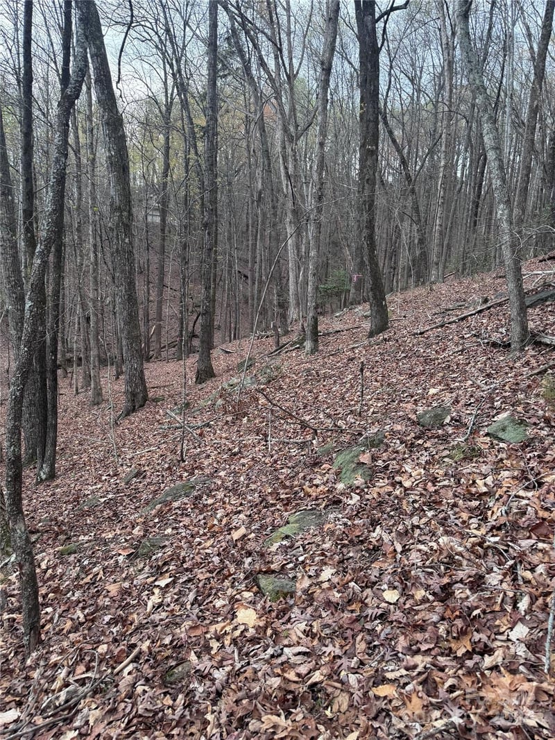 Wilkerson Ct #16, Lake Lure, NC 28746