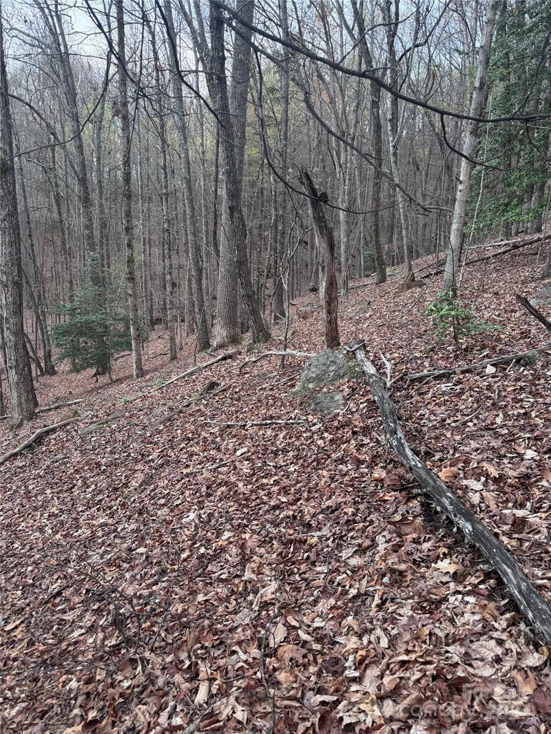 Wilkerson Ct #16, Lake Lure, NC 28746