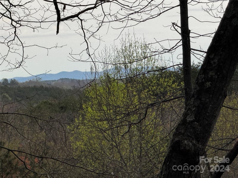 Wilkerson Ct #16, Lake Lure, NC 28746