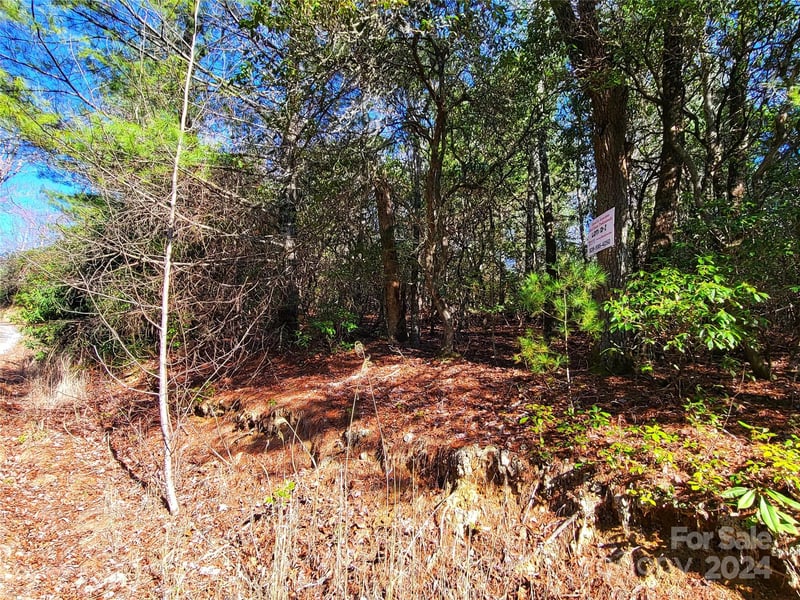 Lot D1 and D2 000 Dogwood Ln, Penrose, NC 28766