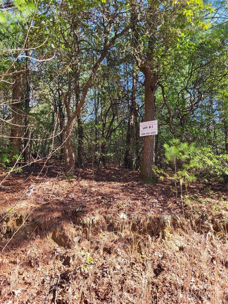 Lot D1 and D2 000 Dogwood Ln, Penrose, NC 28766