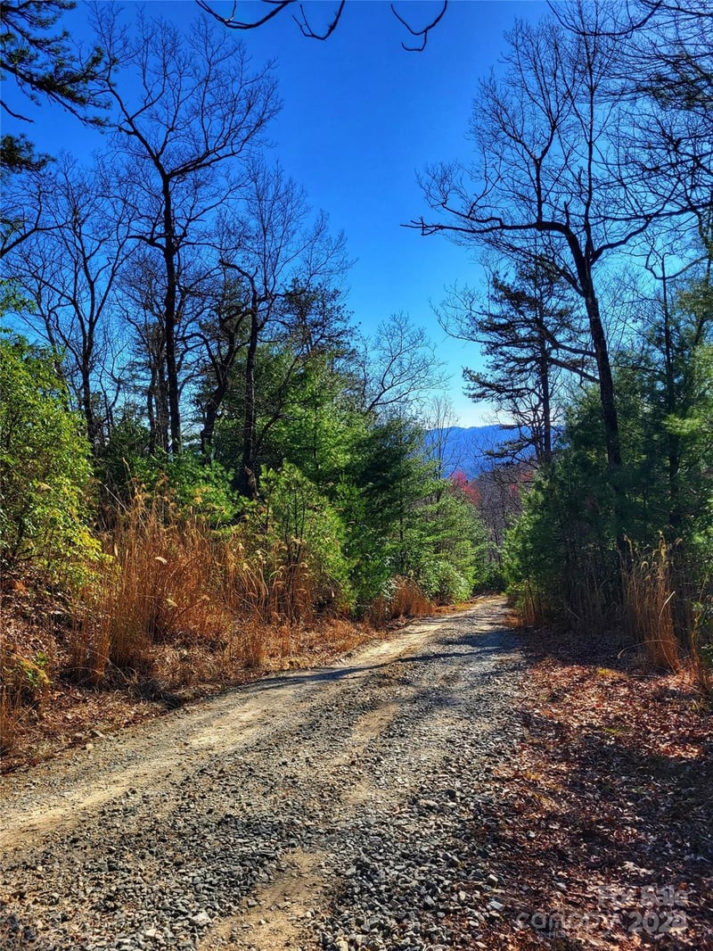 Lot D1 and D2 000 Dogwood Ln, Penrose, NC 28766