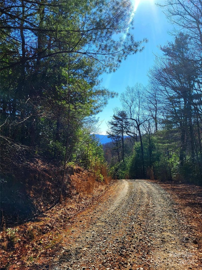 Lot D1 and D2 000 Dogwood Ln, Penrose, NC 28766