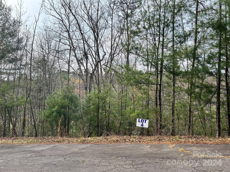 3114 Mountain Laurel Dr, Lenoir, NC 28645