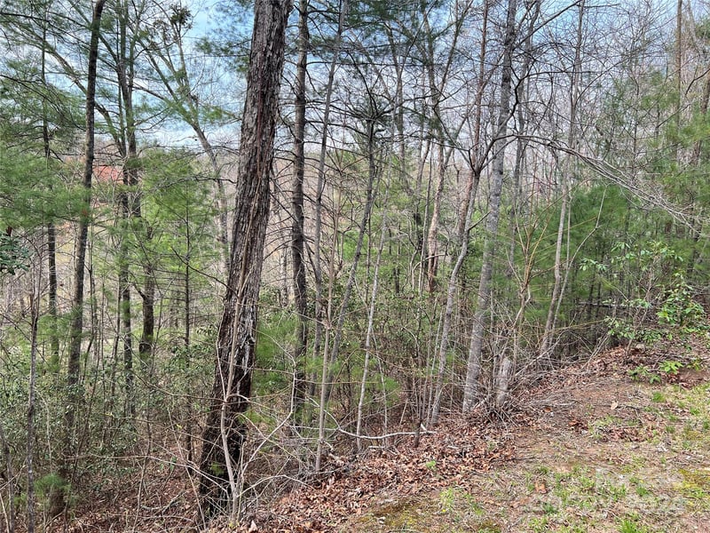 3114 Mountain Laurel Dr, Lenoir, NC 28645