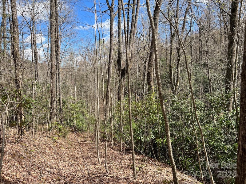 00 Audia Way Dr, Zirconia, NC 28790