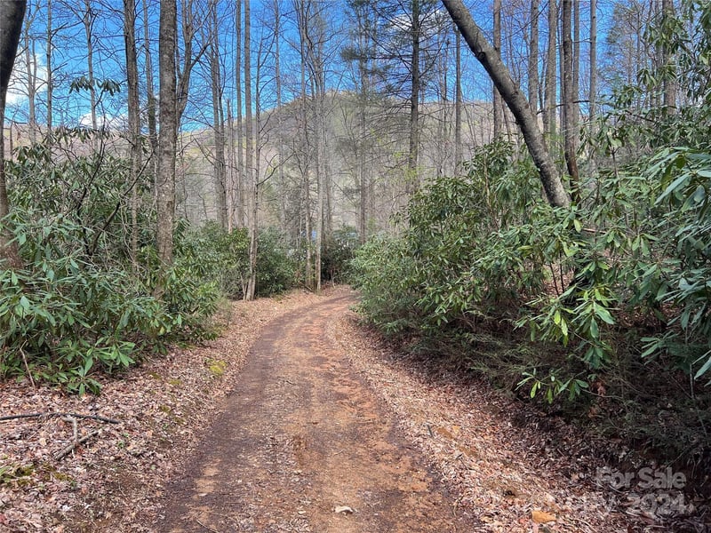 00 Audia Way Dr, Zirconia, NC 28790