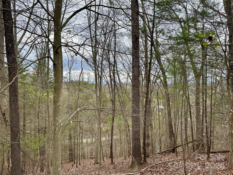 000 Fletcher Martin Rd #2 & 3, Alexander, NC 28701