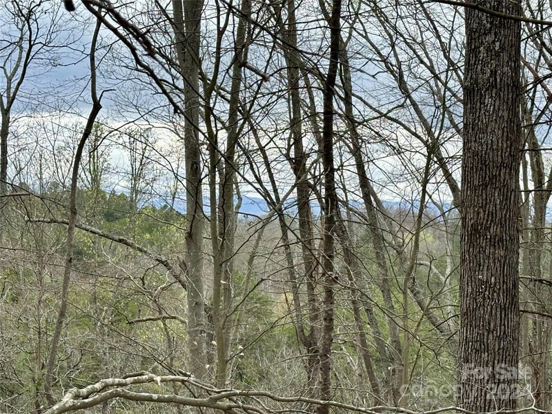 000 Fletcher Martin Rd #2 & 3, Alexander, NC 28701