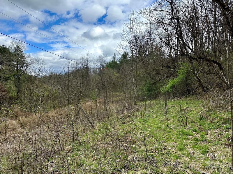000 Fletcher Martin Rd #2 & 3, Alexander, NC 28701