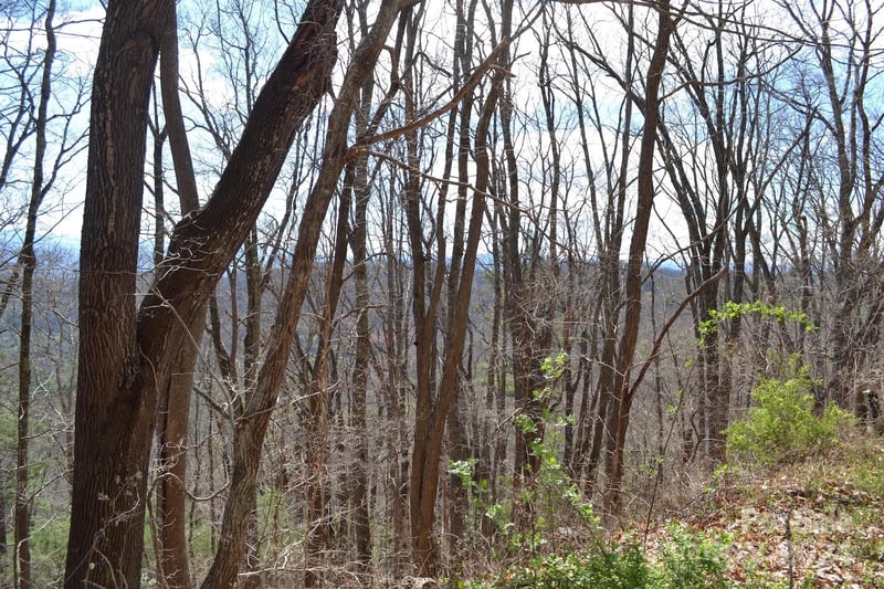 Lot 8 Town Mountain Rd, Asheville, NC 28804