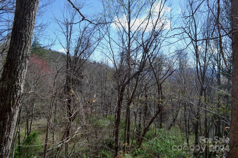 Lot 8 Town Mountain Rd, Asheville, NC 28804