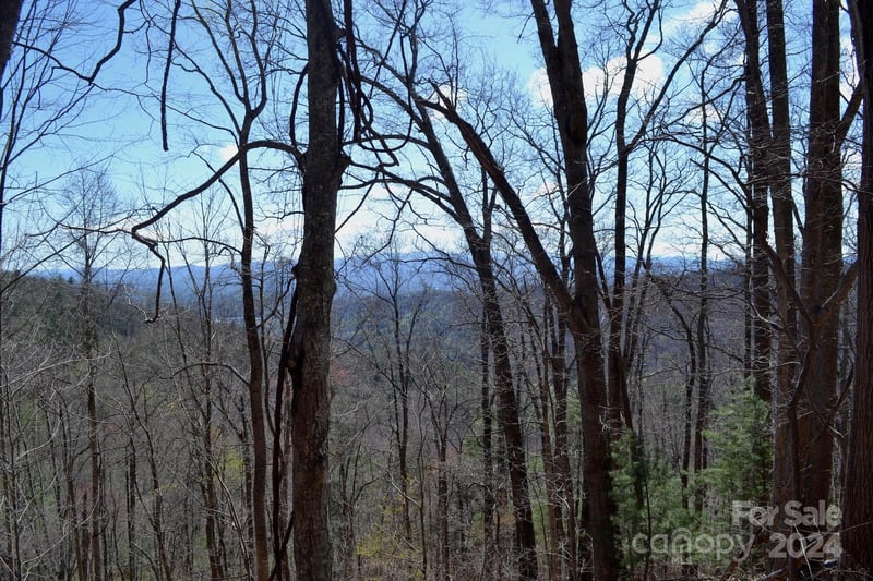 Lot 9 Town Mountain Rd, Asheville, NC 28804