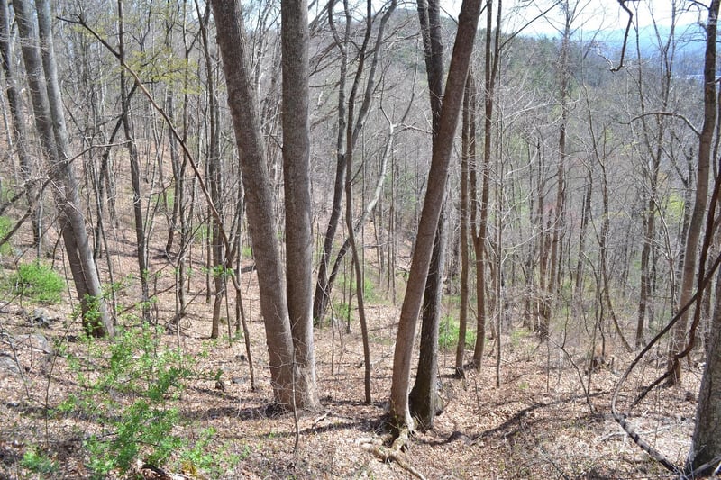 Lot 9 Town Mountain Rd, Asheville, NC 28804