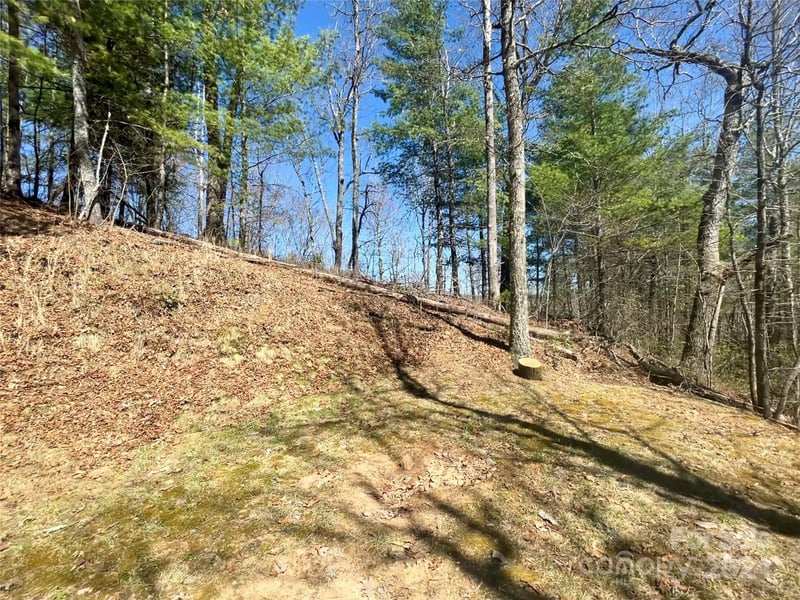 Lot 3 on Saturn Way #3, Bryson City, NC 28781