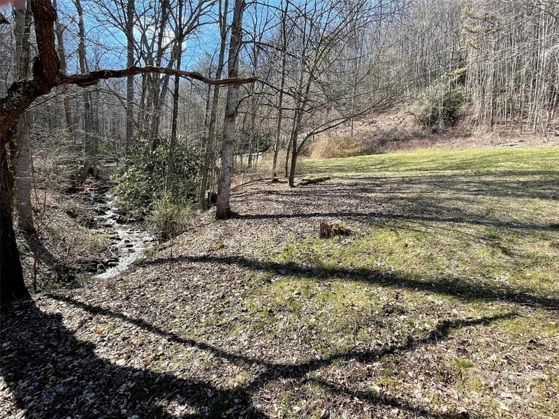 81 Peepeye Cove Rd, Leicester, NC 28748