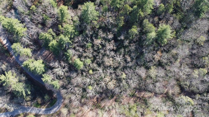 217 Oak Ridge Rd, Hendersonville, NC 28792