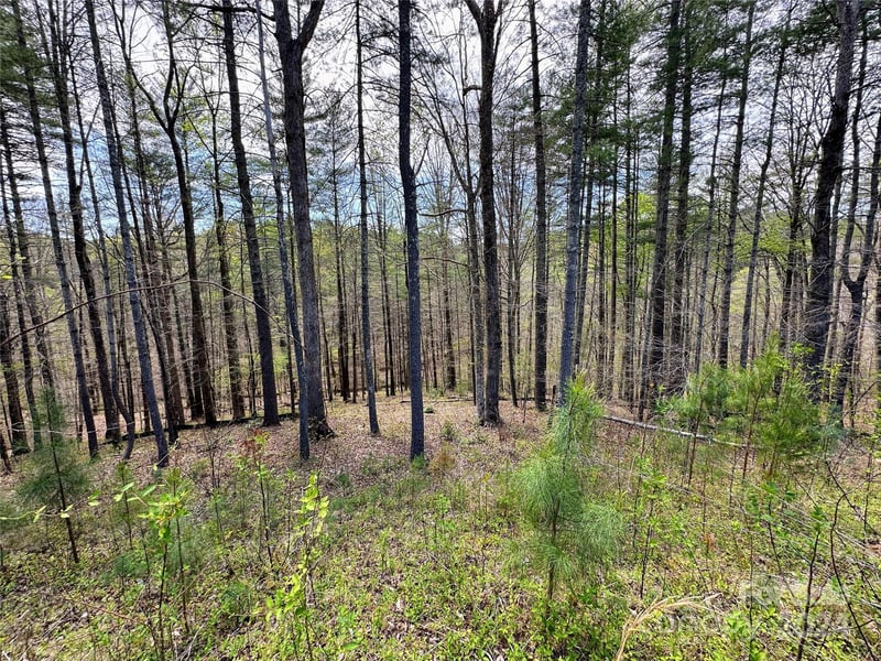 234 Settings Blvd #67, Valdese, NC 28609