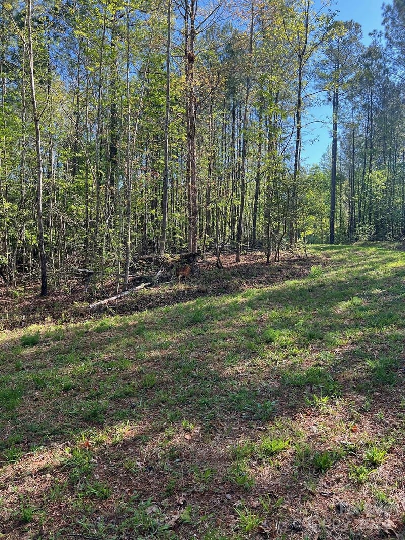 00 Sanctuary Ln, Lilesville, NC 28091