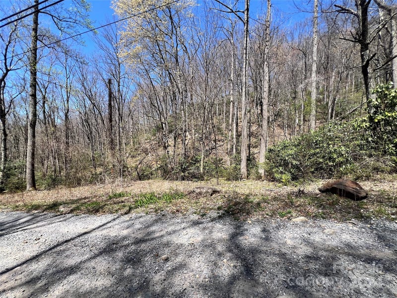 000 Pisgah Mountain Rd, Canton, NC 28716