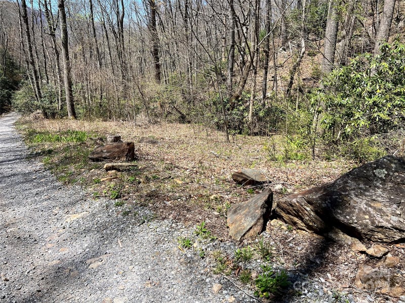 000 Pisgah Mountain Rd, Canton, NC 28716