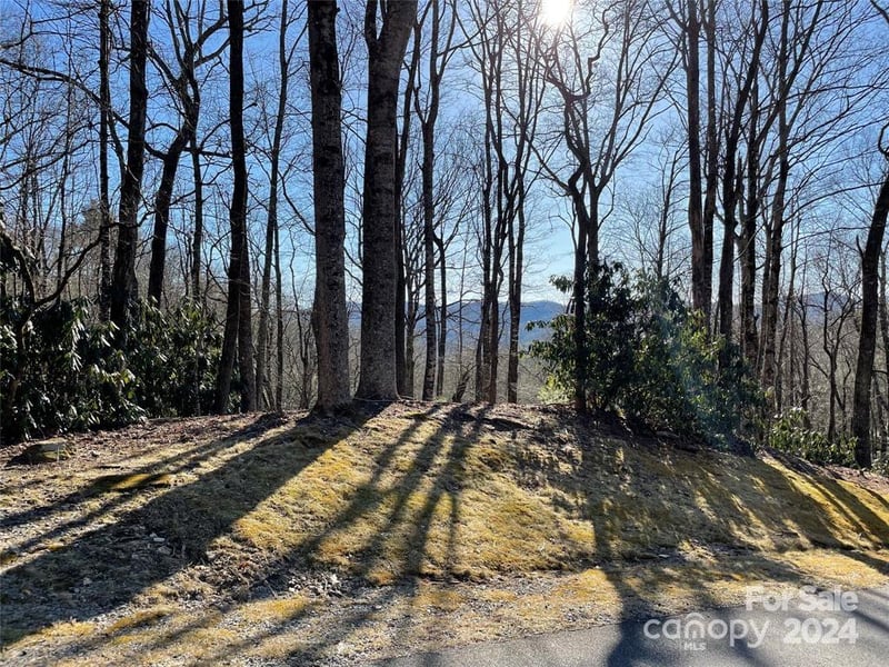 TBD Tsuganawvi Ct, Brevard, NC 28712