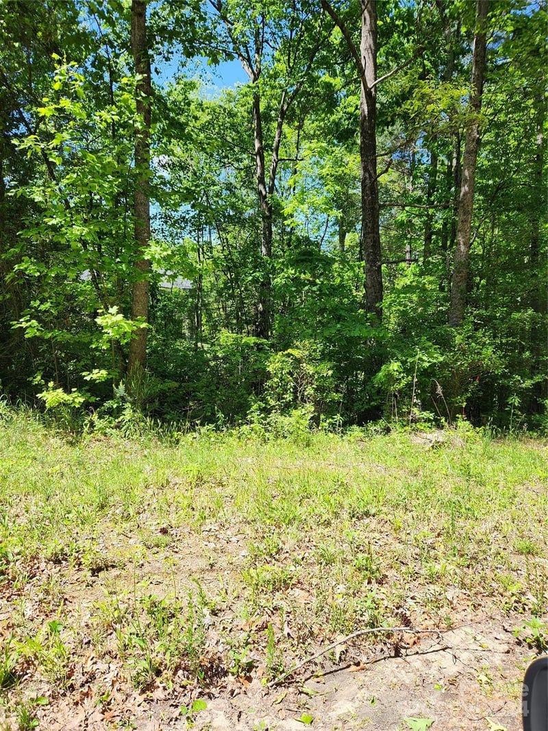 9 Tadpole Ln, Taylorsville, NC 28681