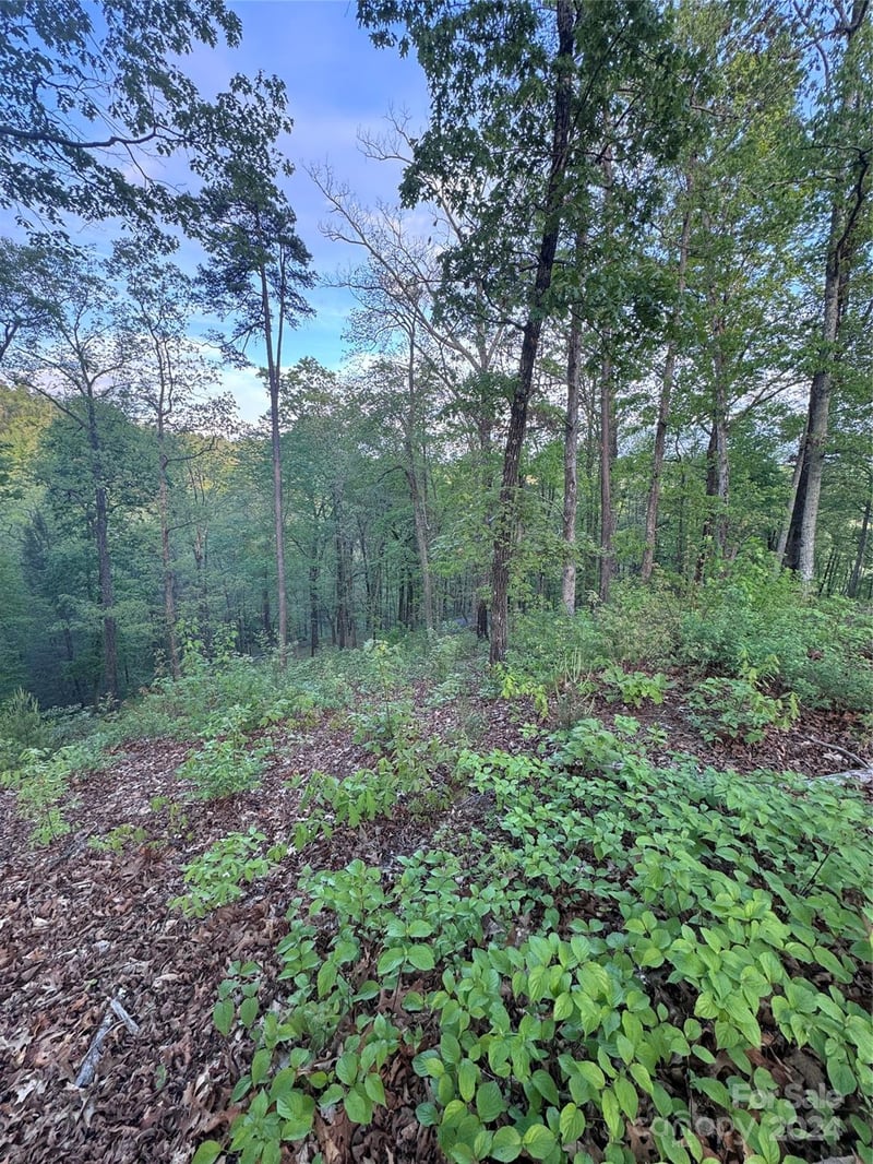 Willow Top Ln #315, Lake Lure, NC 28746