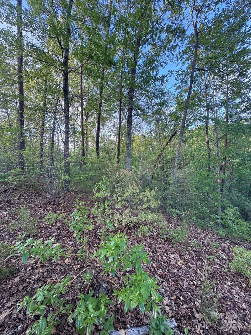 Willow Top Ln #315, Lake Lure, NC 28746