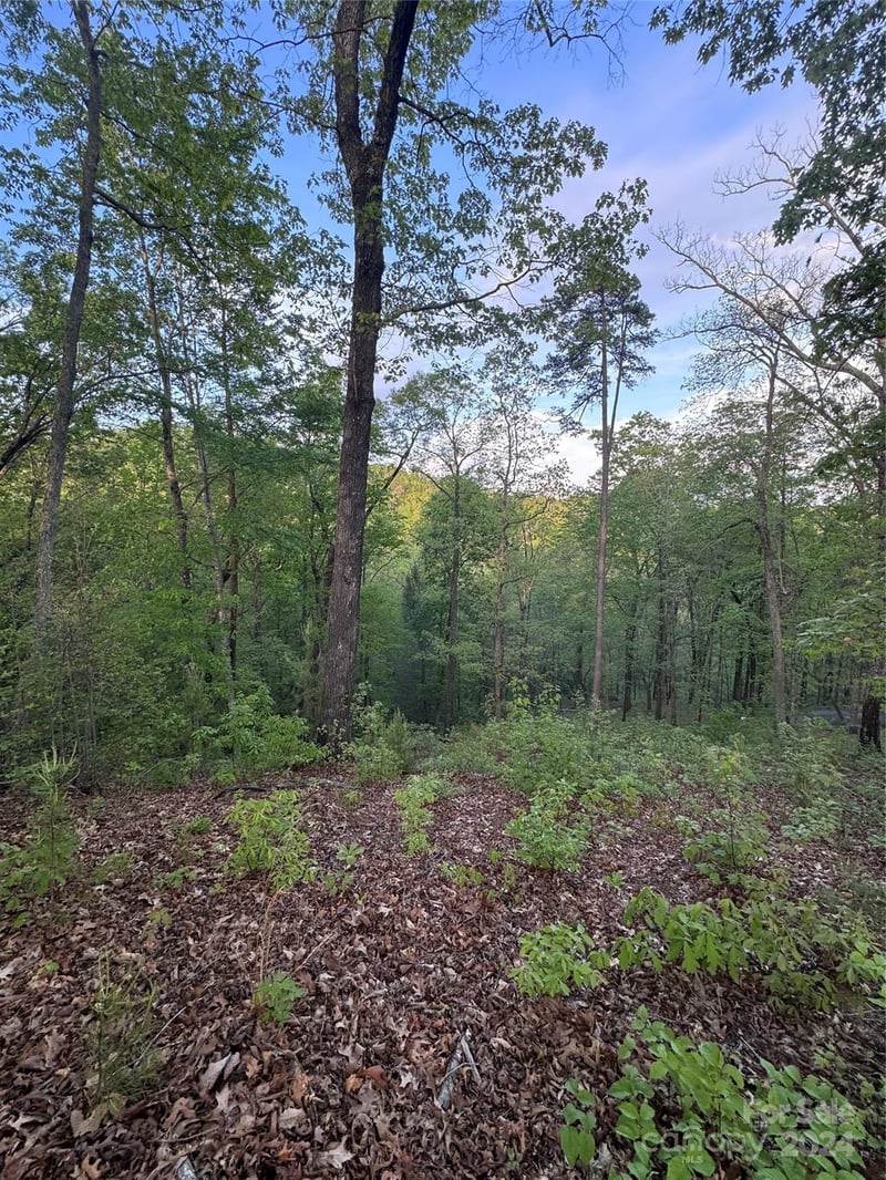 Willow Top Ln #315, Lake Lure, NC 28746