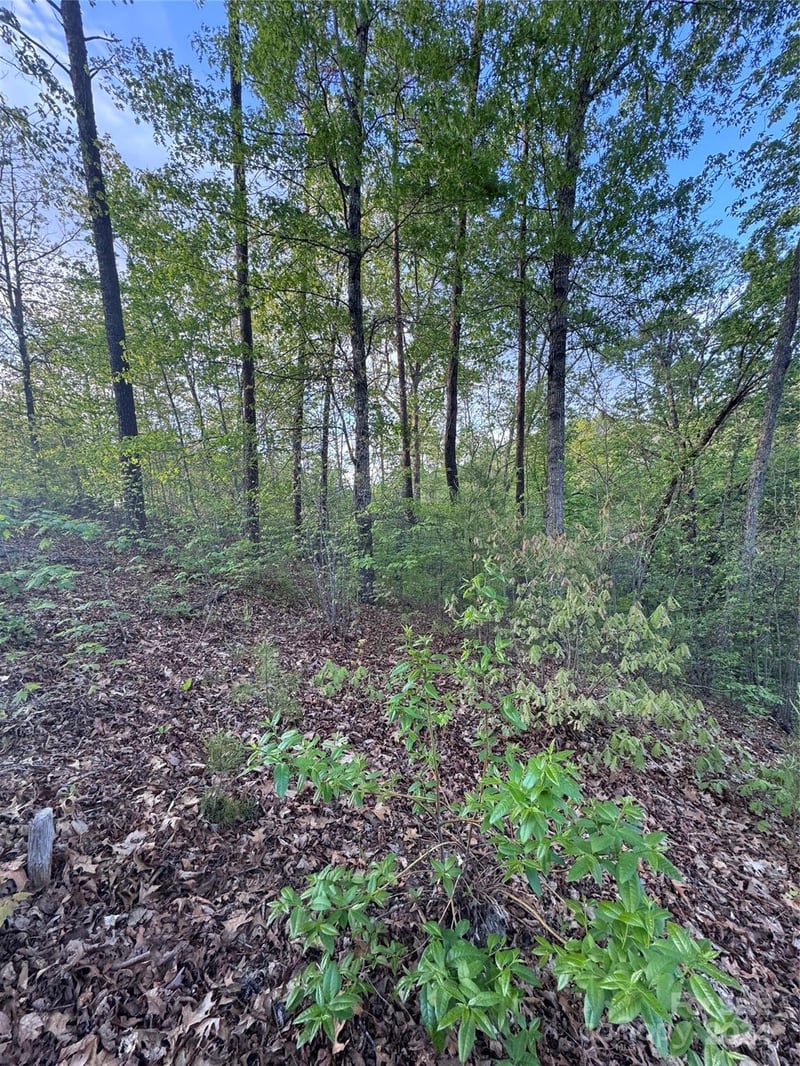 Willow Top Ln #315, Lake Lure, NC 28746