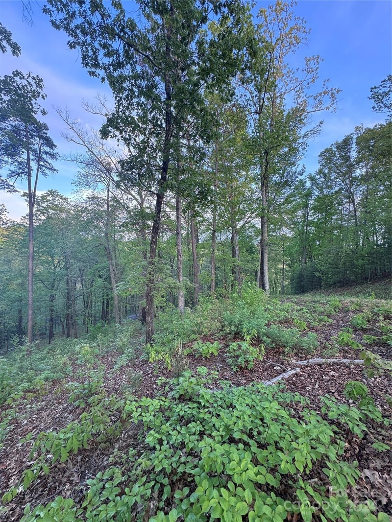 Willow Top Ln #315, Lake Lure, NC 28746