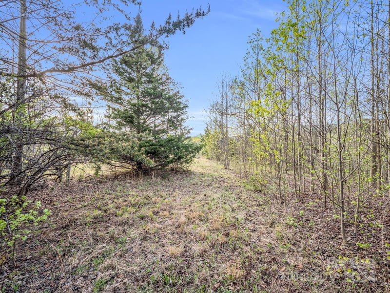 00 Equestrian Dr, Bostic, NC 28018