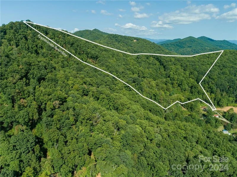 58 Grooms Rd, Candler, NC 28715
