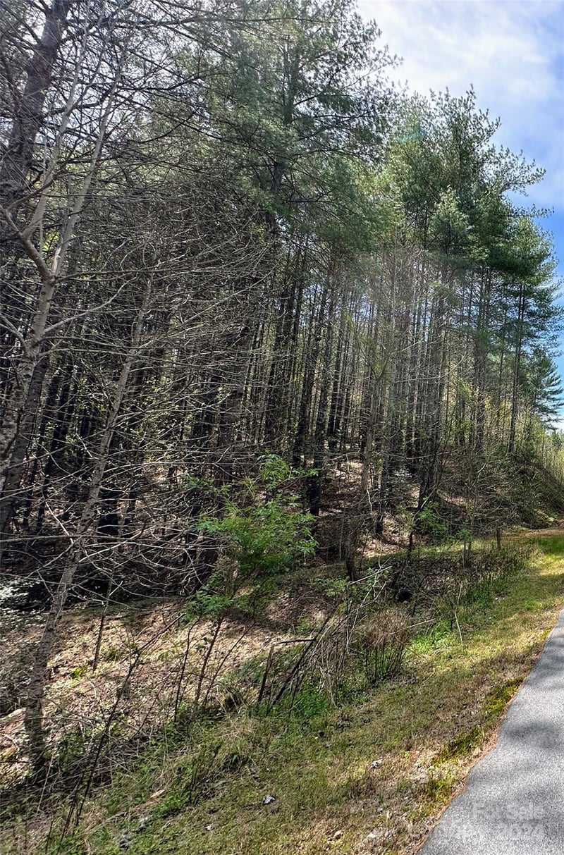 National Forest Dr #132, Lenoir, NC 28645
