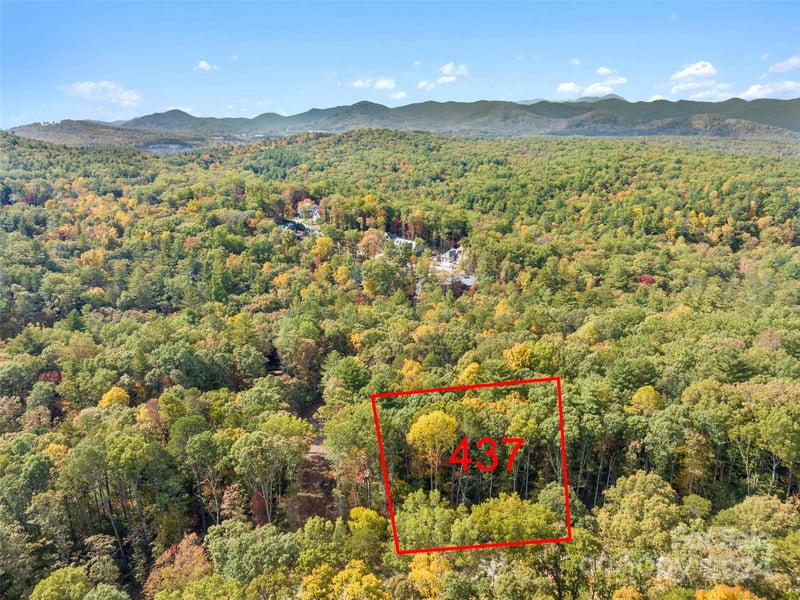 160 Emerald Necklace Dr #437, Asheville, NC 28803