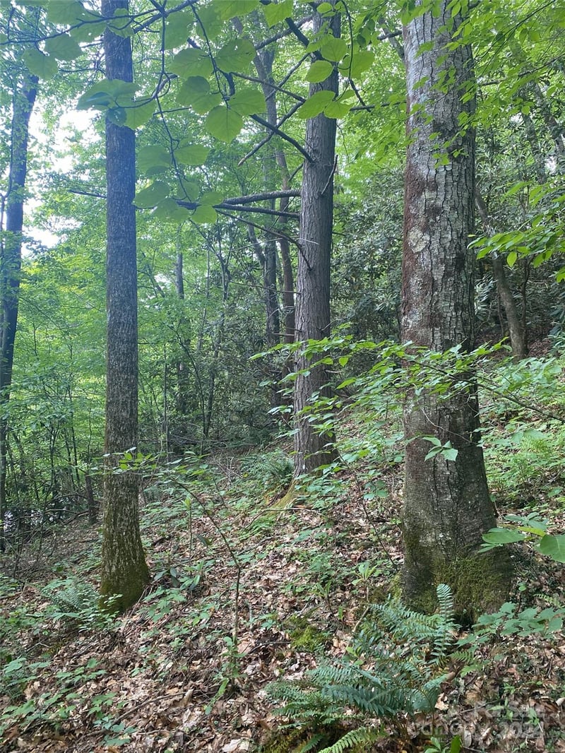 0 Cedar Creek Rd #61, Lake Lure, NC 28746