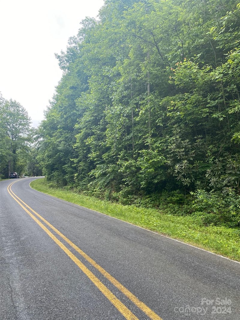 0 Cedar Creek Rd #61, Lake Lure, NC 28746